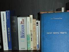 Guimarães Rosa_Estante (3)