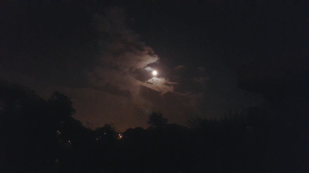 Lua sobre o meu jardim&nbsp;(2)