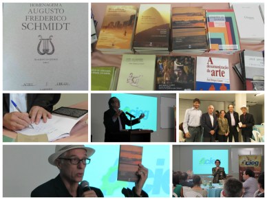 Colagem Schmidt, Acieg