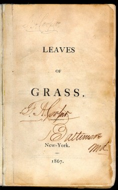 Fronstispício da edicao de 1867 de Folhas da Relva_Whitman