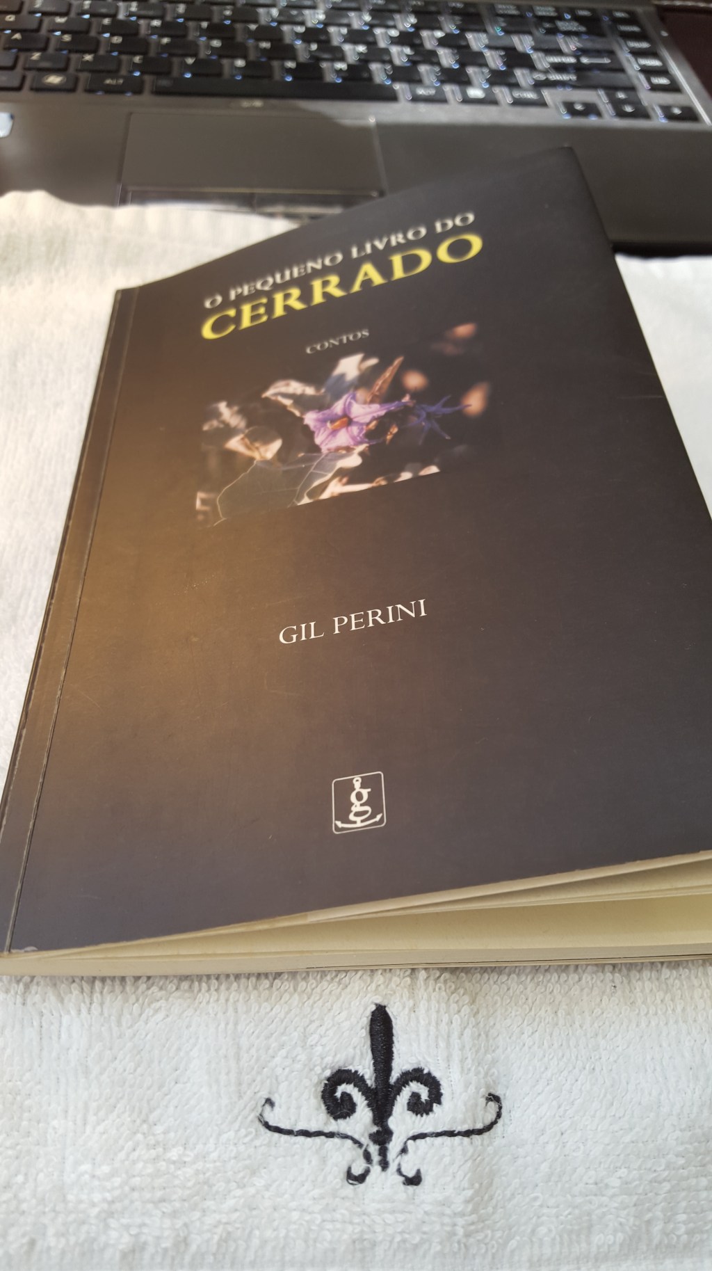 Poesia encontrada em Prosa (iv) – Gil&nbsp;Perini
