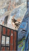 Gatos na Sebastiana_Valparaiso