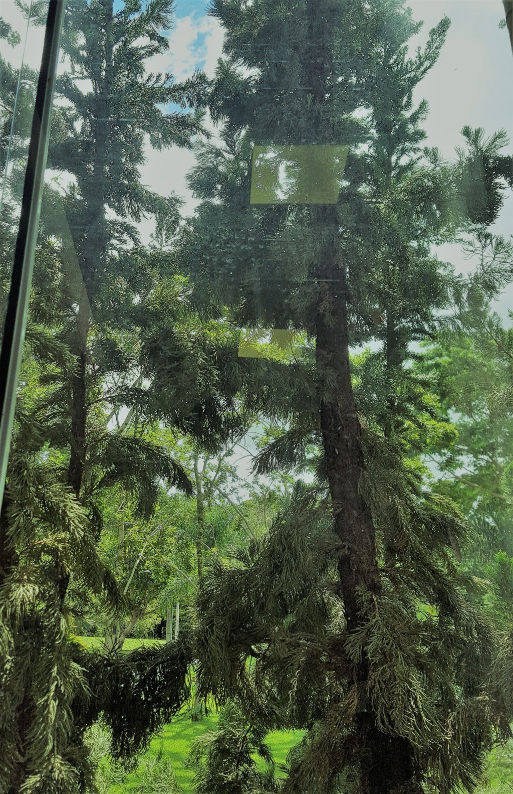 A gênese de um livro (IV)