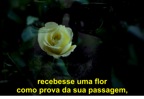 “A flor de Coleridge”, de Borges e&nbsp;JLG