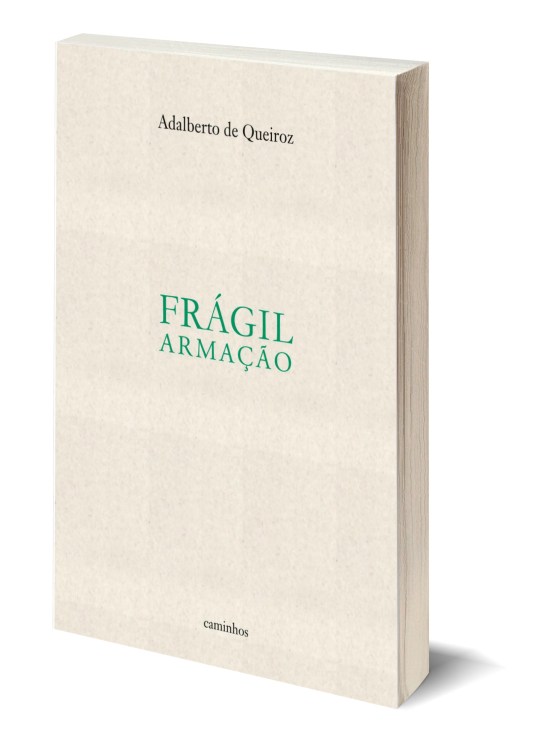 Capa 3D Fragil armação