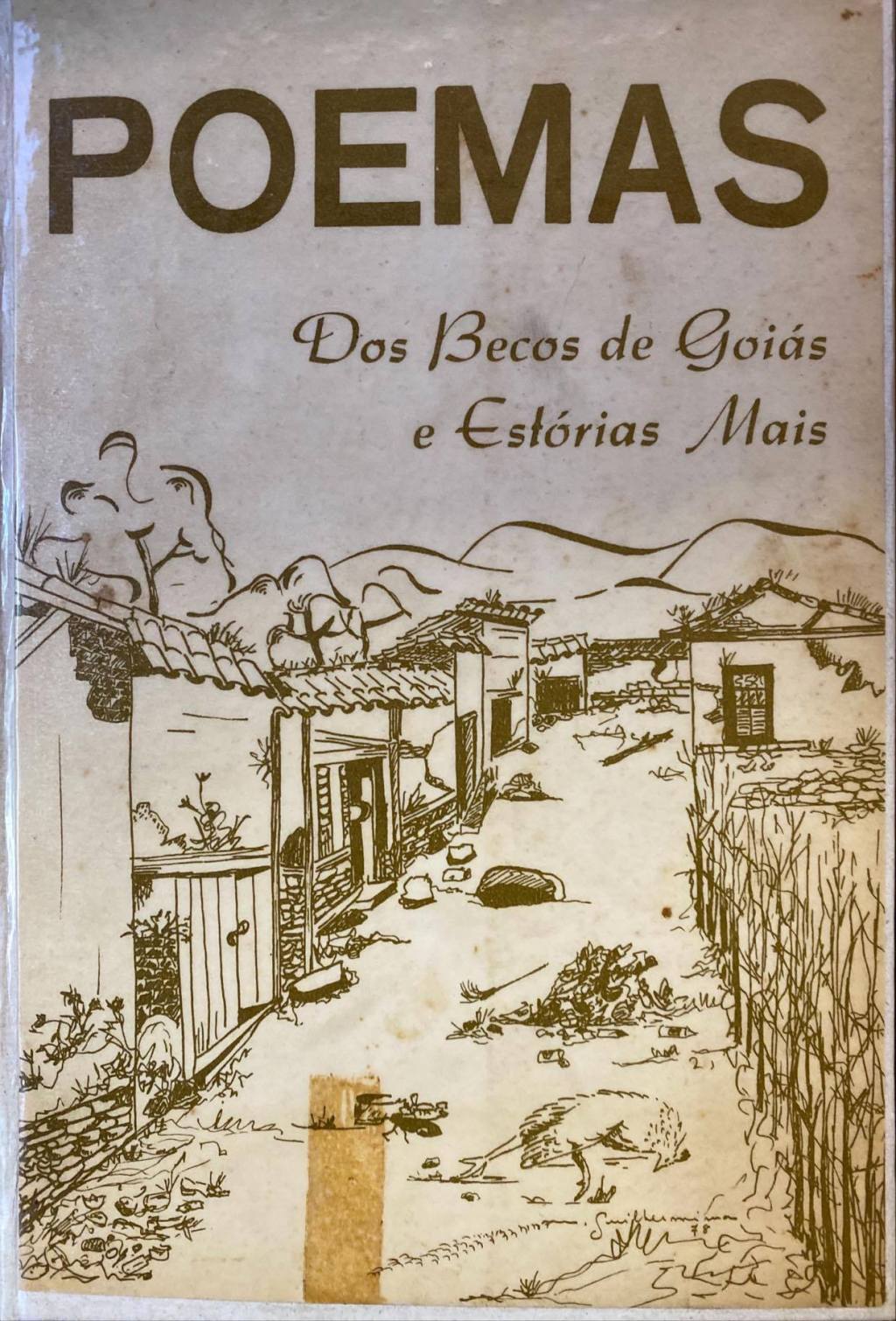 Cora Coralina ganha nova estátua em Goiás