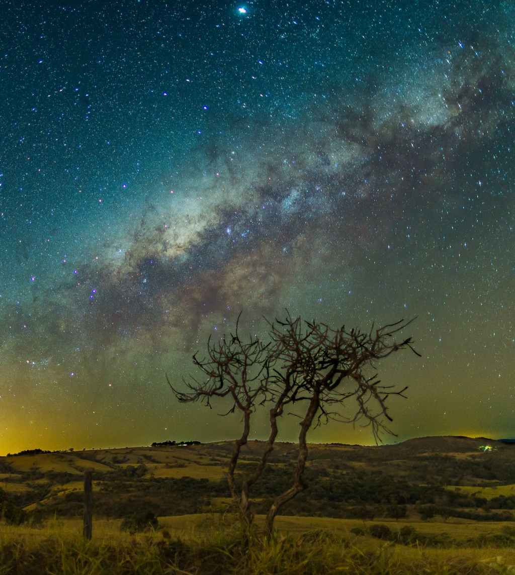 Crônica em O POPULAR